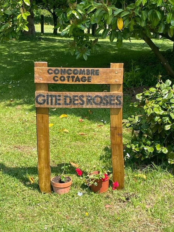 Gite Des Roses Le Grais Esterno foto